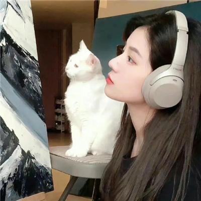 罪魁伏法记