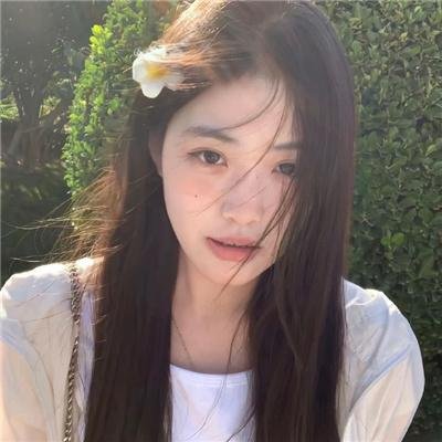 风筝再次飞起
